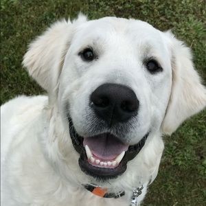 Meet your Posher, Tracie